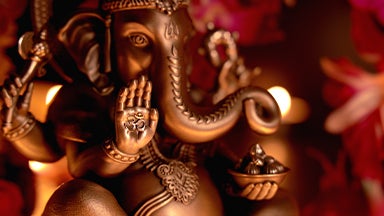 Divinity - the revered Lord Ganesha